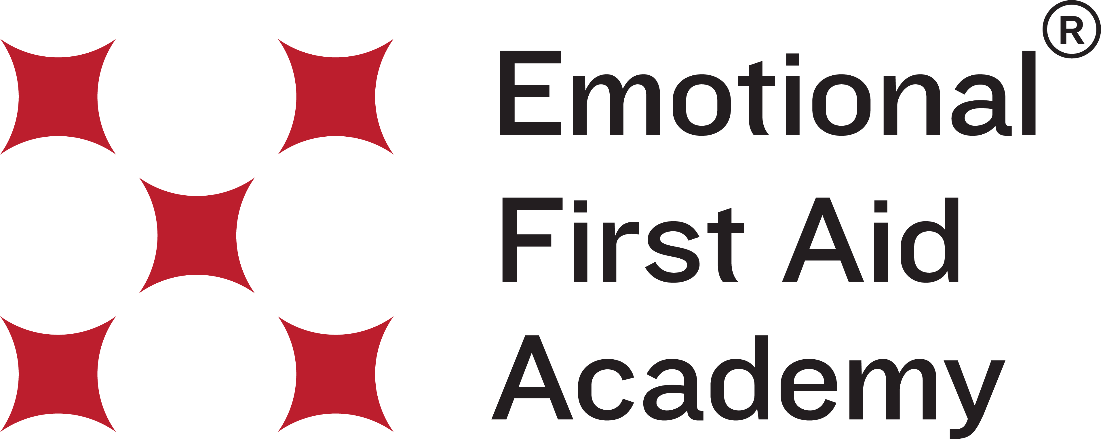 Emotional First Aid Academy